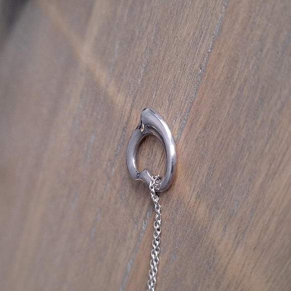Authentic Tiffany & Co. Elsa Peretti heart necklace - Picture 3 of 13